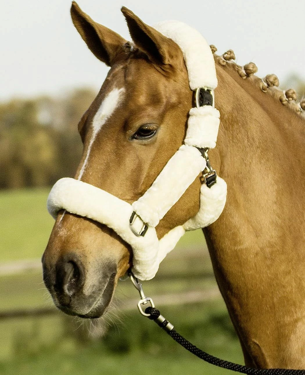 BUSSE Headcoller GUARD - Anthracite / Black 2 BUSSE Headcoller GUARD - Anthracite / Black - Image 2