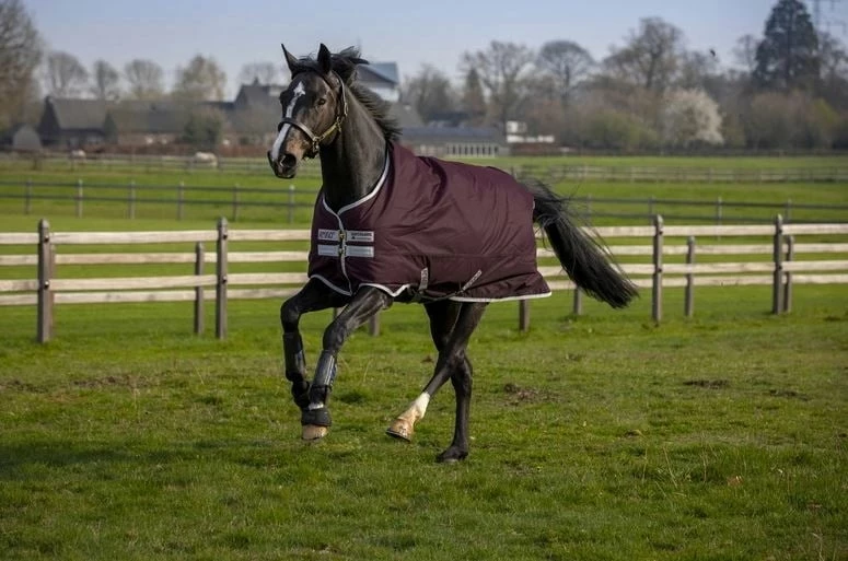 Horseware Ireland Amigo Hero Ripstop 50g Delphinium Blue 2 Horseware Ireland Amigo Hero Ripstop 50g Delphinium Blue - Image 2