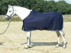 BUSSE 3D AIR Cooler Rug - Navy -Pet Supplies Sales Shop 20473 bece3f3b