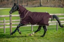 Horseware Ireland Amigo Hero Ripstop Plus 100 G Outdoor Rug, Blue/Navy & Grey 16 Horseware Ireland Amigo Hero Ripstop Plus 100 G Outdoor Rug, Blue/Navy & Grey -Pet Supplies Sales Shop 20906 7acf904b