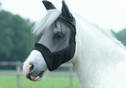 BUSSE Fly Mask FLY BUCKLER GAP II Black -Pet Supplies Sales Shop 21784 962bf346 1