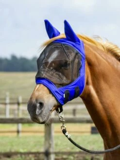 BUSSE Fly Mask FLY BUCKLER GAP II Black -Pet Supplies Sales Shop 21785 5bdda088 1