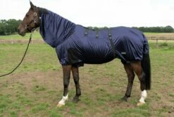 BUSSE Eczema Rug STRONG, Navy -Pet Supplies Sales Shop 21930 384dc91f 1