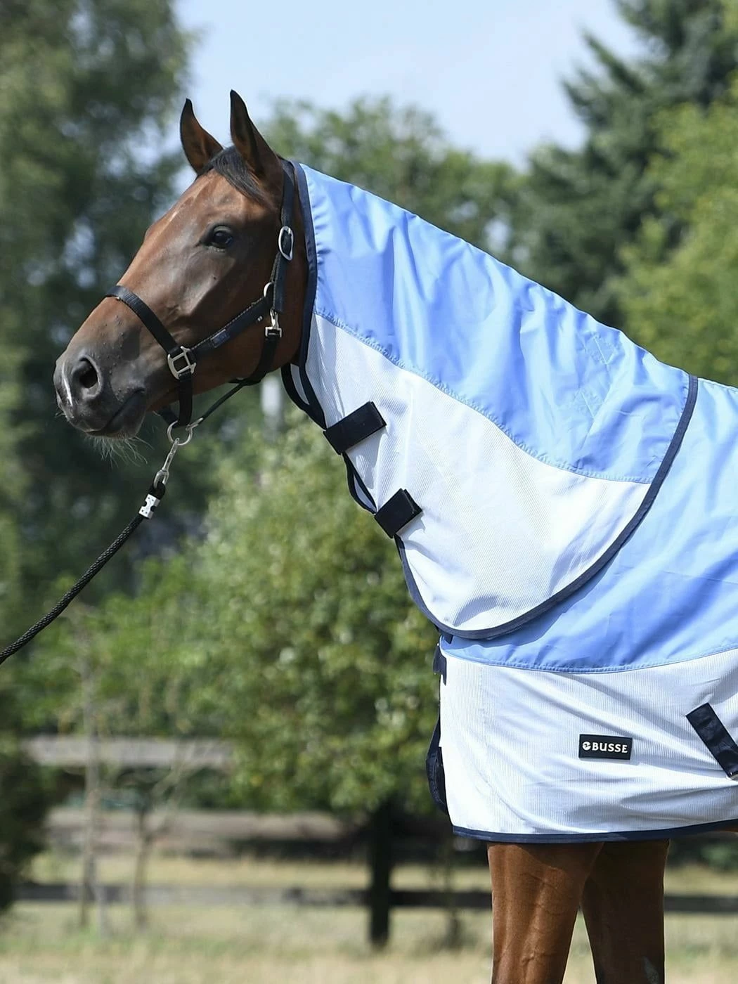 BUSSE RAINFLY Paddock Rug, Sky (Navy) 8 BUSSE RAINFLY Paddock Rug, Sky (Navy) - Image 8