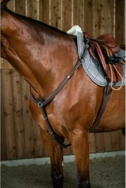 Dy'on "Working" Breastplate, Brown -Pet Supplies Sales Shop 24272 af9cb0a7