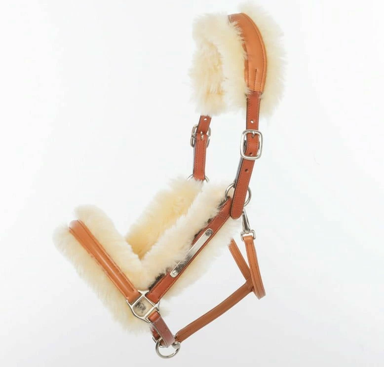 Kavalkade "Marvelous" Leather Halter With Lambskin, Black 8 Kavalkade "Marvelous" Leather Halter With Lambskin, Black - Image 8