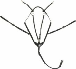 Kavalkade "Leyla" Decorative Velcro, Black, In Pairs -Pet Supplies Sales Shop 25427 35f298fe