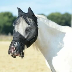 BUSSE Fly Mask FLY COVER FRANSEN -Pet Supplies Sales Shop 25902 cf07292b