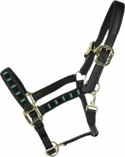Kentucky Horsewear Pearls Halter Gold -Pet Supplies Sales Shop 26205 5e8278e2
