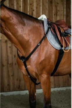 Dy'on "Working" Breastplate, Black -Pet Supplies Sales Shop 26311 8a743e90 1