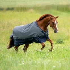 BUSSE ACTIVE PRO 50 Outdoor Rug, Anthracite/Navy 9 BUSSE ACTIVE PRO 50 Outdoor Rug, Anthracite/Navy -Pet Supplies Sales Shop 26587 00094f7d