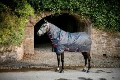 Horseware Ireland Amigo Hero Ripstop Plus Lite 0g, Navy/Print -Pet Supplies Sales Shop 28002 5585184f