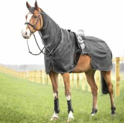 BUSSE Riding Rug - MOSKITO III, Navy -Pet Supplies Sales Shop 28482 89e27aae 1