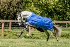 Horseware Ireland Amigo Hero Ripstop 50g Delphinium Blue 7 Horseware Ireland Amigo Hero Ripstop 50g Delphinium Blue -Pet Supplies Sales Shop 33707 8f058afd
