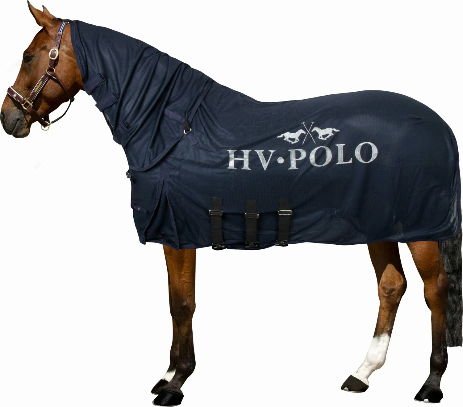 HV Polo HVPClassic Fly Rug, Basil 3 HV Polo HVPClassic Fly Rug, Basil - Image 3