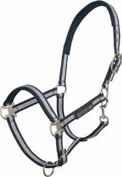 HV Polo HVPClassic Stripe Halter, Thoroughbreds -Pet Supplies Sales Shop 34350 c028e092