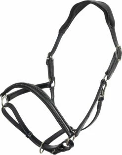 HV Polo Halter - HVPLegacy, Black -Pet Supplies Sales Shop 35766 b894ba3b 1