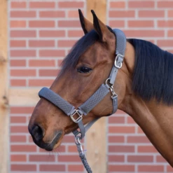 BUSSE Head Collar - 3D AIR EFFECT PRO, Black -Pet Supplies Sales Shop 35930 7ae3c113