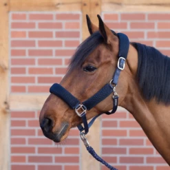 BUSSE Head Collar - 3D AIR EFFECT PRO, Navy 7 BUSSE Head Collar - 3D AIR EFFECT PRO, Navy -Pet Supplies Sales Shop 35931 6c2cda66 2