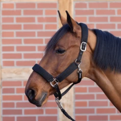 BUSSE Head Collar - 3D AIR EFFECT PRO, Black -Pet Supplies Sales Shop 35936 38ee6bb2