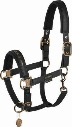 ESKADRON Halter - DOUBLE PIN FAUX LEATHER, Black -Pet Supplies Sales Shop 36711 1e6511d3