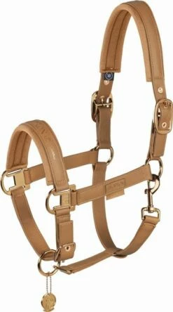 ESKADRON Halter - DOUBLE PIN FAUX LEATHER, Black -Pet Supplies Sales Shop 36714 927cbf73
