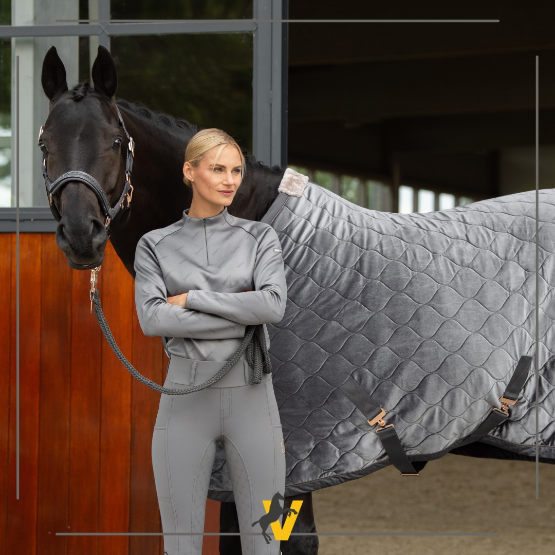 Pet Supplies Sales Shop -Pet Supplies Sales Shop 370301446 709816634517042 3475148013588131474 n