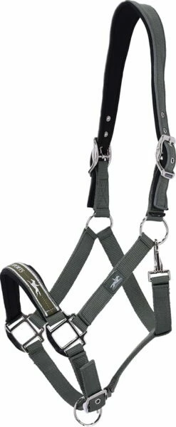 Schockemöhle Sports Halter - Memphis Anatomic Style, Jungle -Pet Supplies Sales Shop 37607 ecd12634