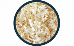 Allspan German Horse Allspan German Horse Classic