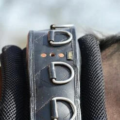 BUSSE 3D AIR EFFECT Lunging Pad -Pet Supplies Sales Shop busse 3d air effect lunging pad 735142 en