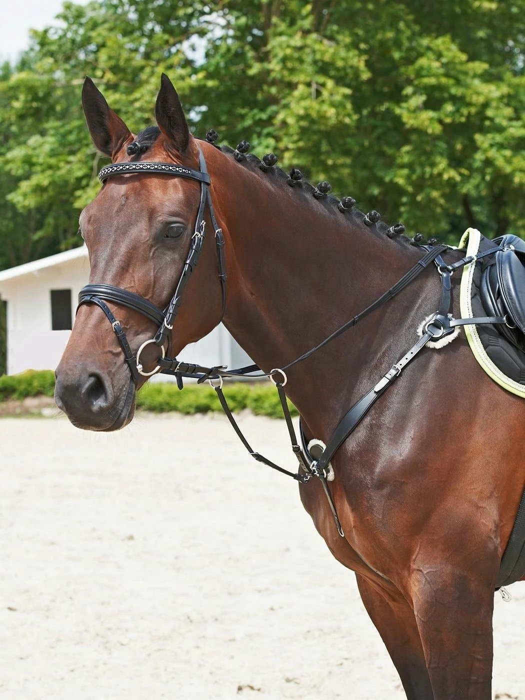 BUSSE Breastplate SOLIBEL 1 BUSSE Breastplate SOLIBEL