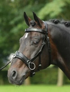 BUSSE Cavesson FIT-PRO