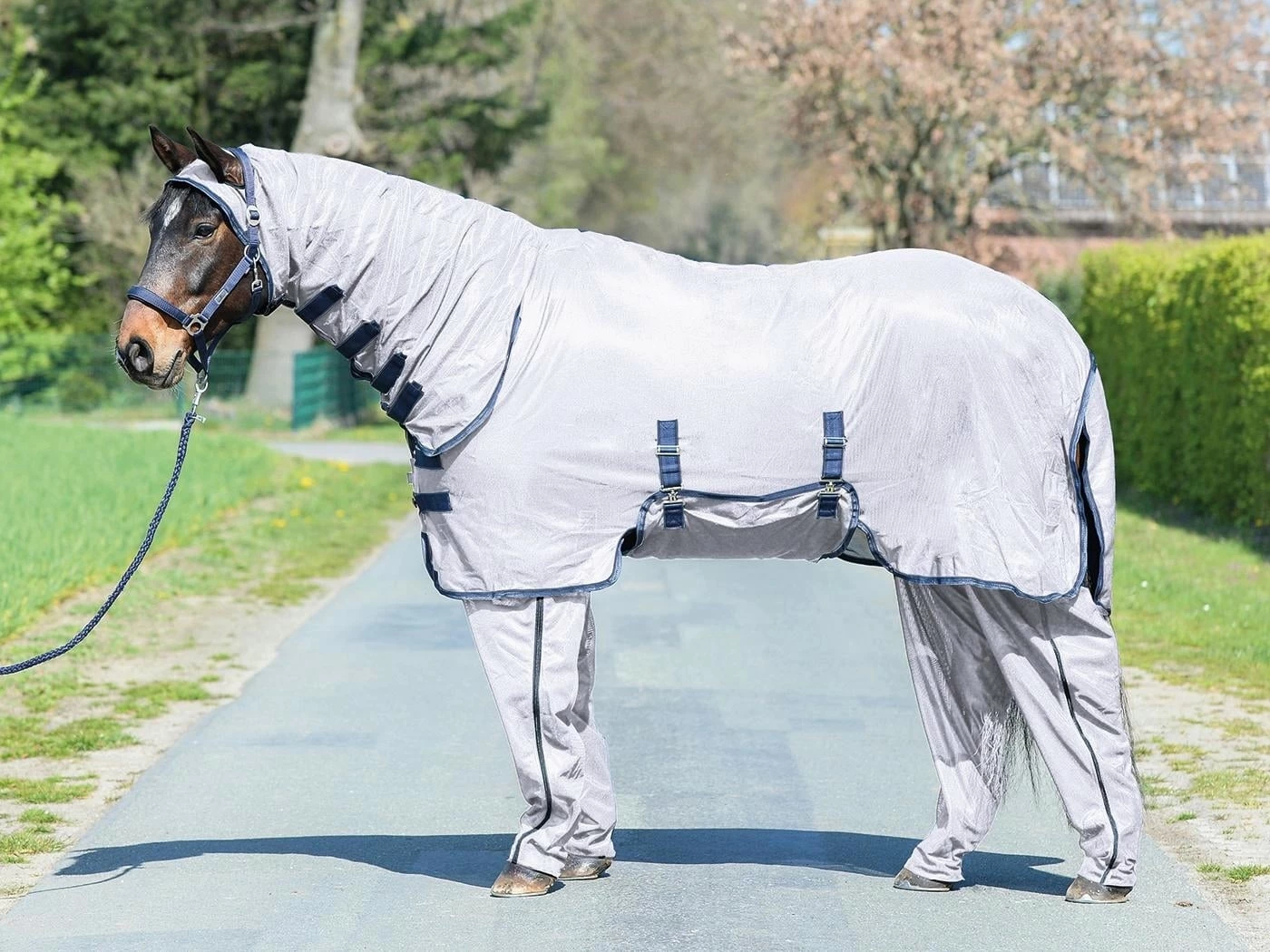 BUSSE COMPLETE PLUS Fly Rug Silver/Navy 1 BUSSE COMPLETE PLUS Fly Rug Silver/Navy