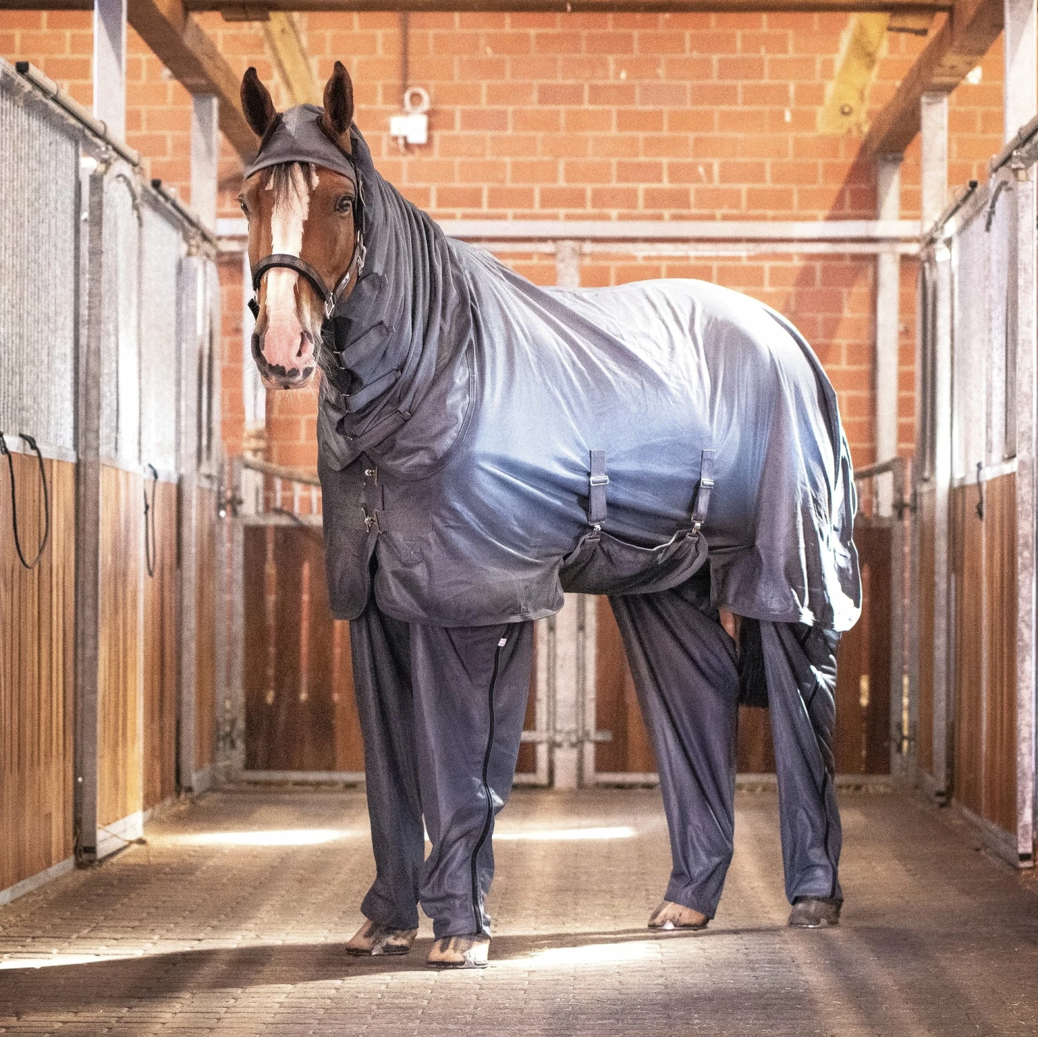 BUSSE COMPLETE PLUS Fly Rug, Anthracite/Grey 1 BUSSE COMPLETE PLUS Fly Rug, Anthracite/Grey
