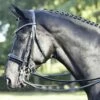 BUSSE Double Bridle LUXURY- Black