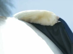 BUSSE EARLY SEASON Summer Rug, Light Grey (Navy) -Pet Supplies Sales Shop busse early season summer rug light grey navy 620615 en