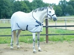 BUSSE EARLY SEASON Summer Rug, Light Grey (Navy) -Pet Supplies Sales Shop busse early season summer rug light grey navy 620660 en