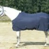 BUSSE EARLY SEASON Summer Rug, Navy