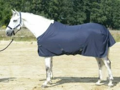 BUSSE EARLY SEASON Summer Rug, Navy