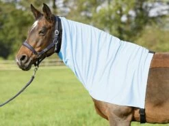 BUSSE Eczema EXTENSIVE Neck Piece