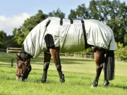 BUSSE Eczema Rug STRONG - Silver -Pet Supplies Sales Shop busse eczema rug strong silver 514318 en