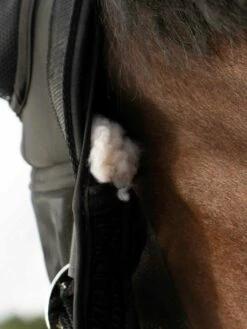 BUSSE FAST Fly Halter 6 BUSSE FAST Fly Halter -Pet Supplies Sales Shop busse fast fly halter 571111 en