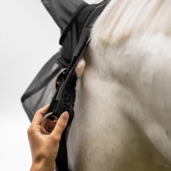 BUSSE Fly Halter FAST PLUS, Black -Pet Supplies Sales Shop busse fly halter fast plus black 816279 en