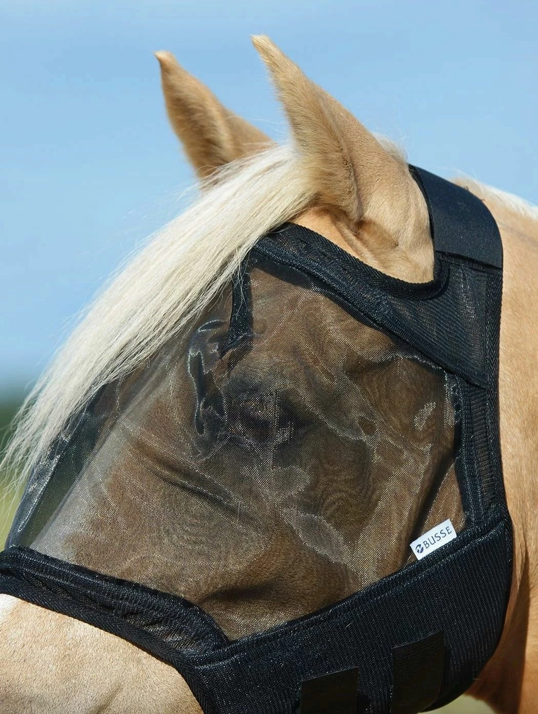 BUSSE Fly Mask FLY GUARD Black 2 BUSSE Fly Mask FLY GUARD Black - Image 2