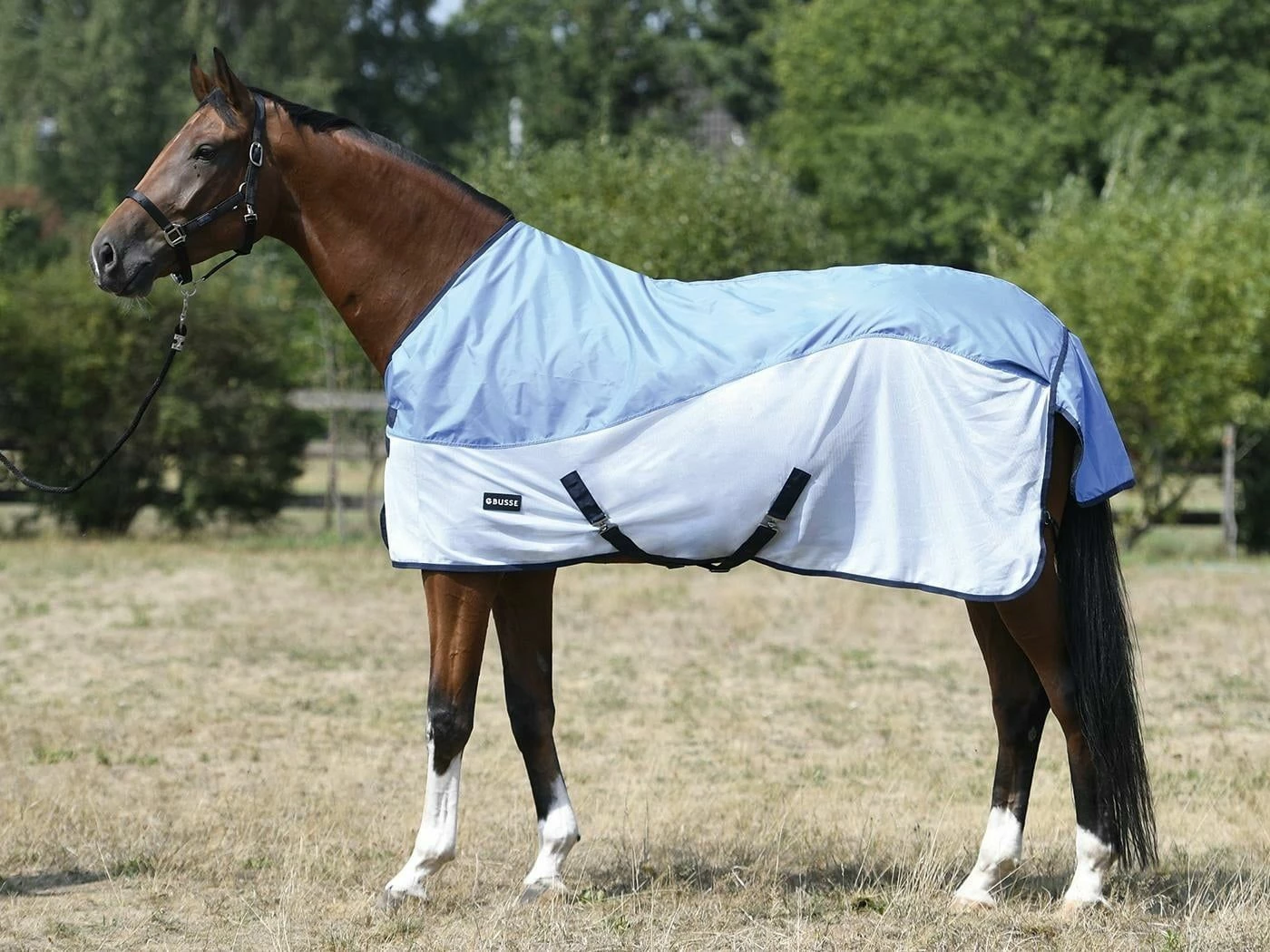 BUSSE RAINFLY Paddock Rug, Sky (Navy) 1 BUSSE RAINFLY Paddock Rug, Sky (Navy)