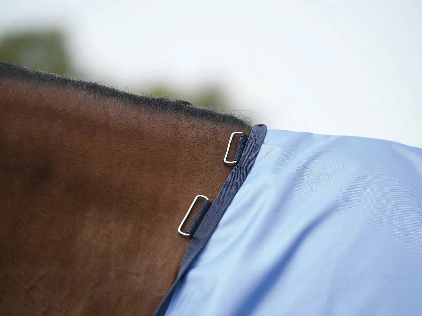 BUSSE RAINFLY Paddock Rug, Sky (Navy) 3 BUSSE RAINFLY Paddock Rug, Sky (Navy) - Image 3