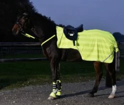 BUSSE REFLECTION Exercise Rug, Yellow