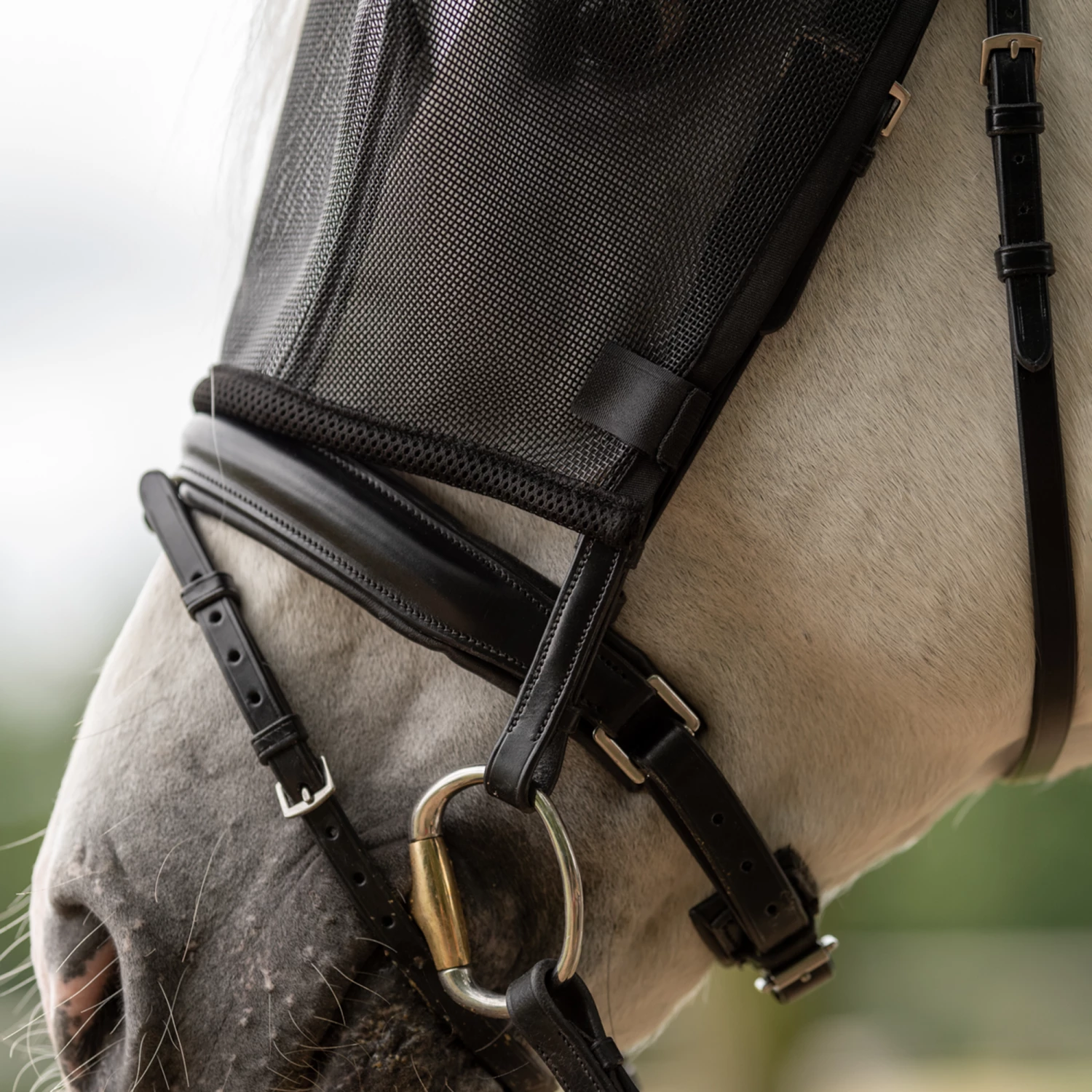 BUSSE RIDING Fly Mask, Black 2 BUSSE RIDING Fly Mask, Black - Image 2