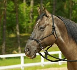 BUSSE Rope Halter RINGE