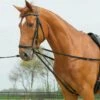 BUSSE Side Reins BASIC